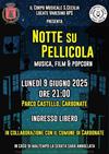 Concerti in corte